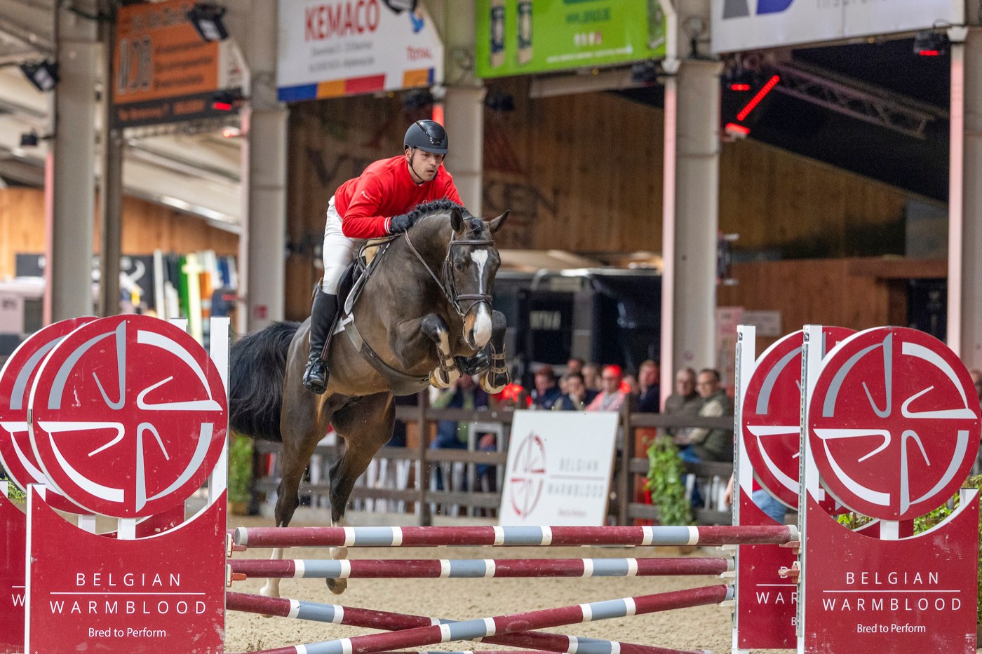 Logan Leemans à l'obstacle avec Aron van de Padenborre, BWP Hengstenkeuring 2026